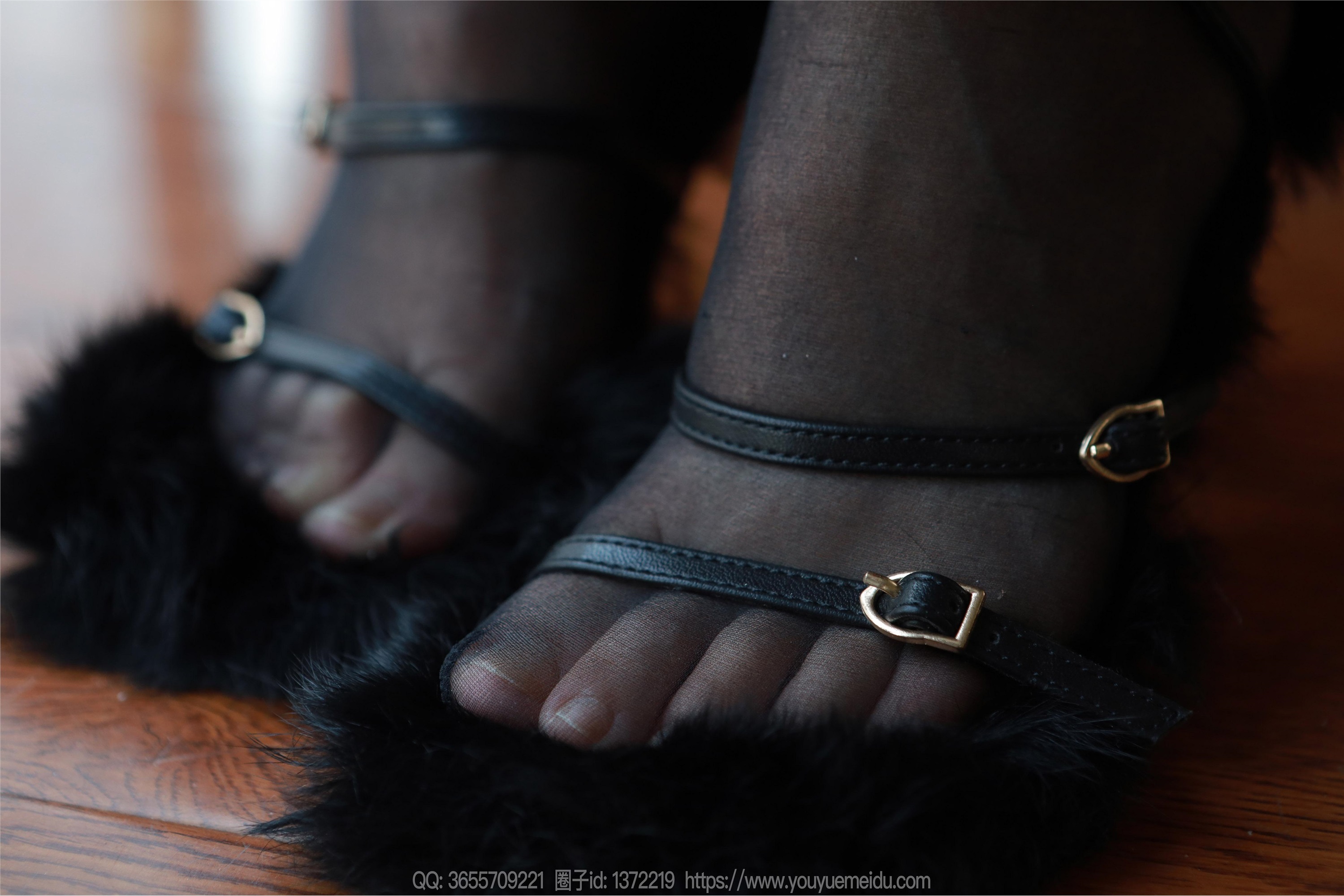 IESS异思趣向  2025.02.26 丝享家 1987 小金《毛绒绒》